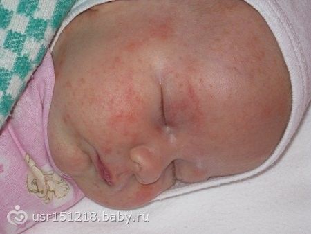 фото цветение грудничков онлайн фото цветение грудничков