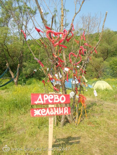 Выходные (много фото)
