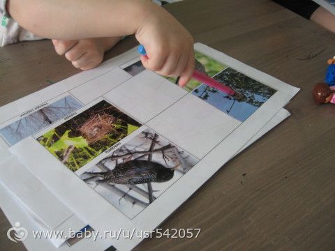 Как мы Весну спасали