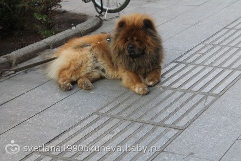 Долгожданный совместный отдых или путешествие в любимую страну